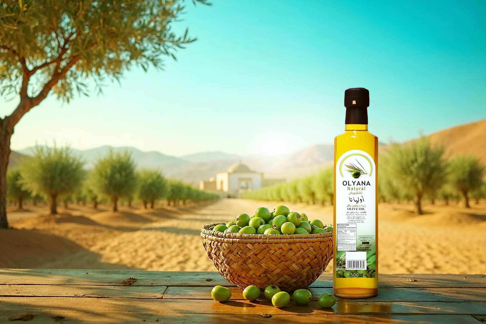 Olives in Saudi Arabia Production, Benefits, and Marketing