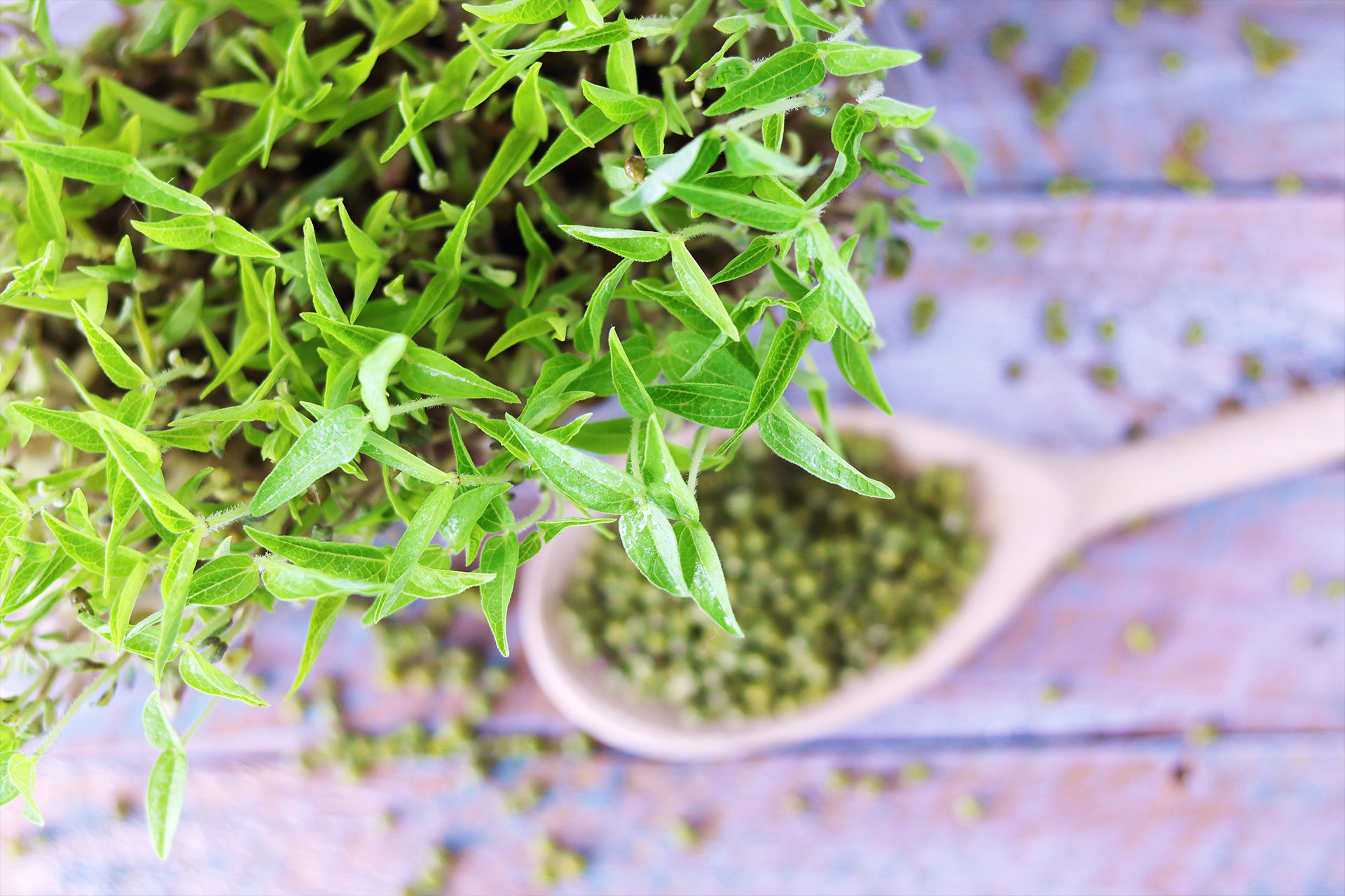 Green thyme health benefits